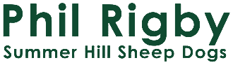 Dog trainer Kendal | Phil Rigby Summer Hill Sheep Dogs